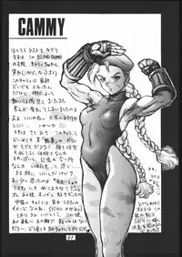 [METAL, Studio Tapa Tapa (Sengoku-kun)] Chun-Li Side A (Street Fighter)