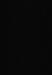 (C85) [Ash Wing (Makuro)] BF III -bijoux fantaisie-