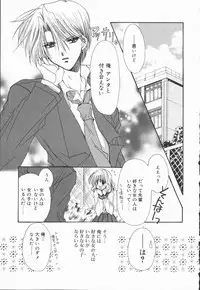 [Ryuga Syo] Mayutan Complex