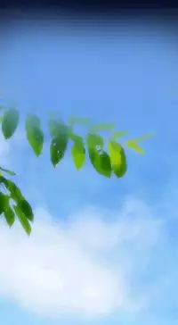 [Hong BanJang] Aharoo Ch.1-25 (English) (YoManga) (Ongoing)