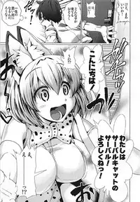 (C92) [Heart's nest (hato)] Tasukete! Serval-chan (Kemono Friends)