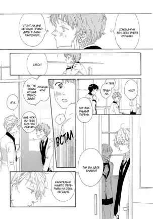 The Daydreamer Falls in Love