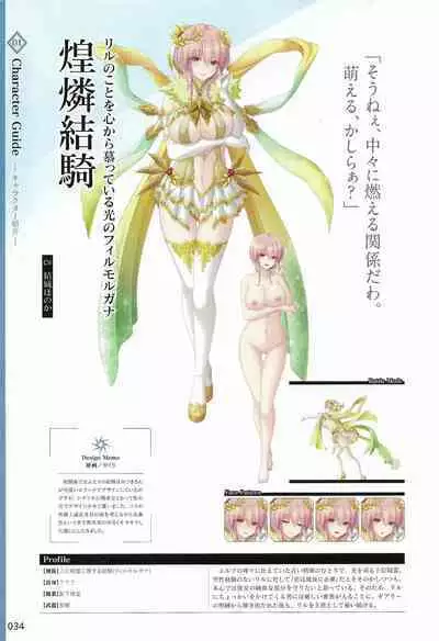 Amayui Labyrinth Meister Perfect Guidebook