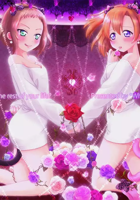 What are you doing the rest of your life?