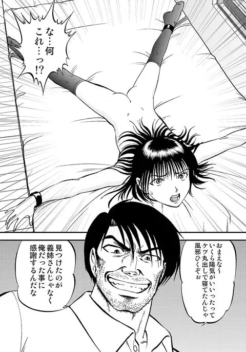 Cyberia Maniacs Chikan Ryoujoku Paradise Vol.2