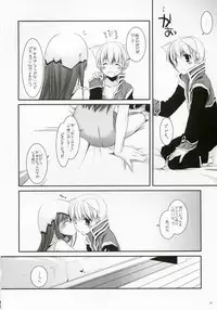 (C73) [Digital Lover (Nakajima Yuka)] D.L. Action 41 (Ragnarok Online)