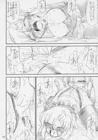 (C70) [EINSATZ GRUPPE (Charlie Nishinaka)] PRISONER 8 Miserable Birds (Gundam SEED DESTINY)