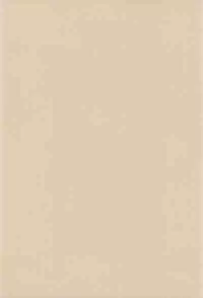 THERE’S SOMETHING ABOUT TORTE!