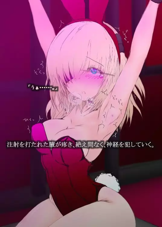 Senki Choukyou Nikki