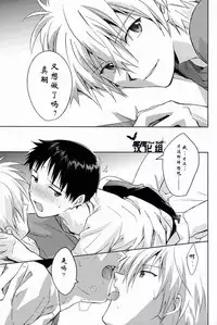 (C82) [cassino (Magarikoji Lily)] ONLY IF (Neon Genesis Evangelion) [Chinese]