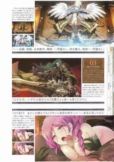 Fuukan no Grasesta Perfect Guidebook