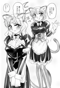 [Amagi Kei] Aigan Reijou