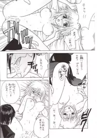 [L.S.P.] FLAVOR 03 (Kidou Senshi Gundam SEED)