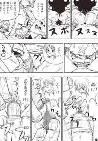 (C78) [Mikenekodou (Muten)] INSTINCT WORLD (One Piece)