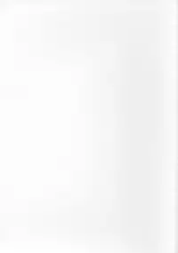 [BIG BOSS (Hontai Bai)] Mitsune SP (Love Hina)