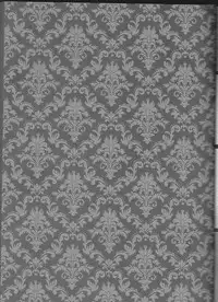 (C84) [Gensyokuhakoniwa (Kintoki)] Exodus 2 (Ao no Exorcist)