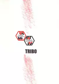 (C72) [TRIBO (Noguchi Masatsu)] Meniscuska Asuka Tempest (Neon Genesis Evangelion)