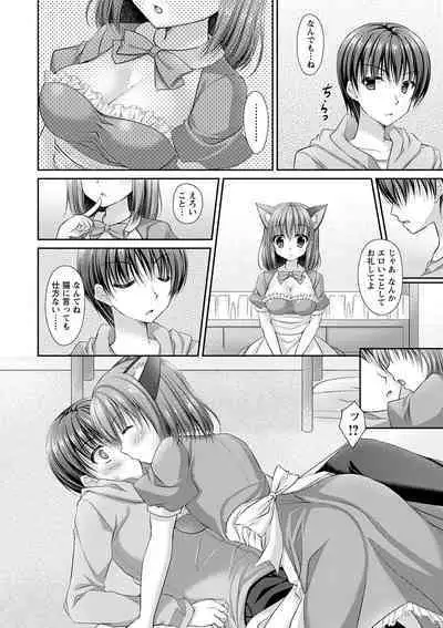 Dare ni mo Ienai Kyoudai Soukan FANZA Gentei Tokusouban