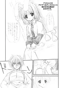 (C62) [Ashuraya (Kushida Ashura)] Acolyte Heaven (Ragnarok Online)