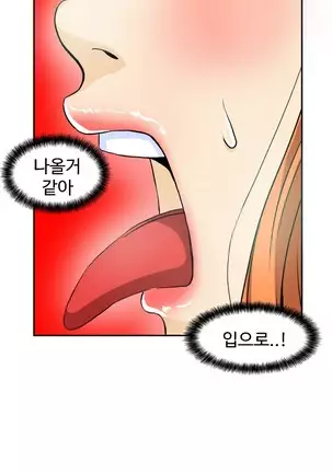 Chauffeur Service Ch.1-30.5