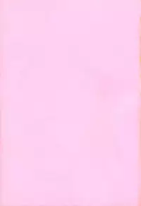 [Utemuteso] Level 5 (Outlawstar, Akihabara, CCS)