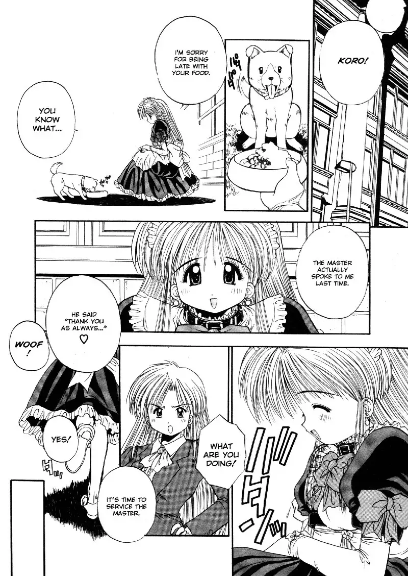 Elements5 - One Night