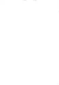 Marked Girls Vol. 19