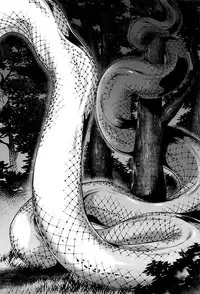 [Jyoka] Hachishaku Hachiwa Keraku Meguri - Igyou Kaikitan [Chinese] [CE家族社]