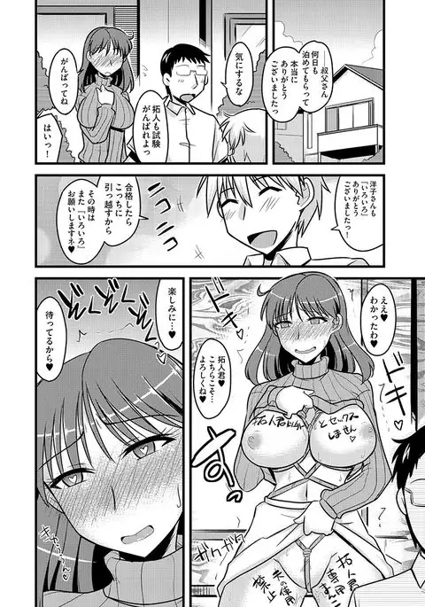 Cyberia Maniacs Hitozuma Juurin Collection Vol.1