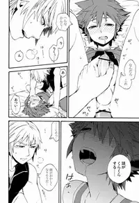 (C82) [Ssize (Sam)] First Session (Kingdom Hearts)