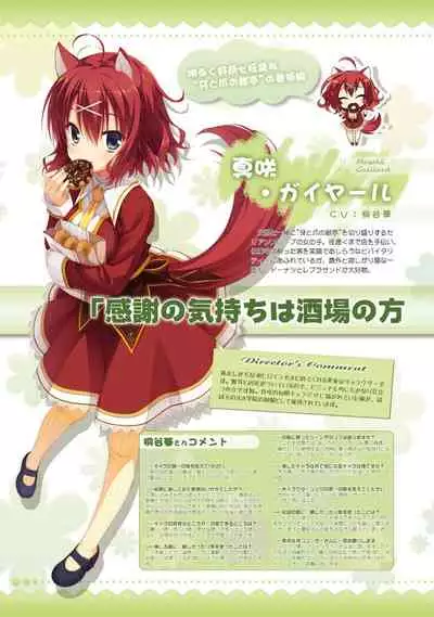 AMAIRO ISLENAUTS OFFICIAL VISUAL FAN BOOK