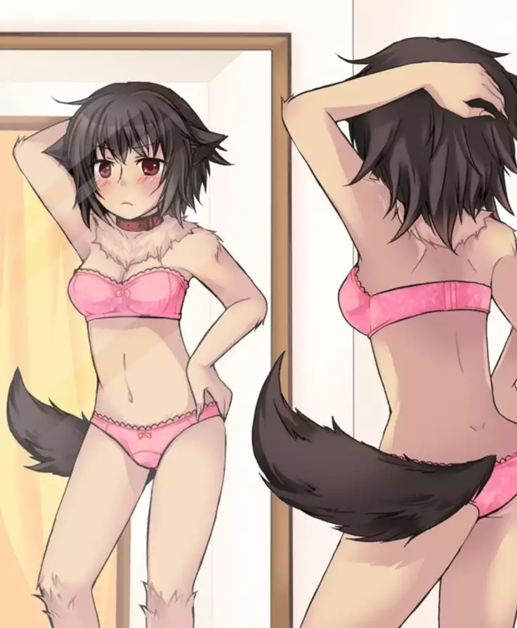 Okashi Assorted Packs - Unscented Taste