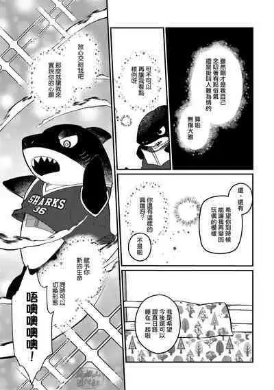 Zipper Shark Joey | 拉鍊鯊魚喬伊