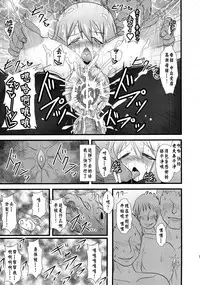 Shield Knight Elsain Vol. 12 NETHER LABORATORY 2