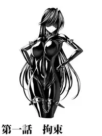 [Sansui (Sen)] Picchiri Suit DIY