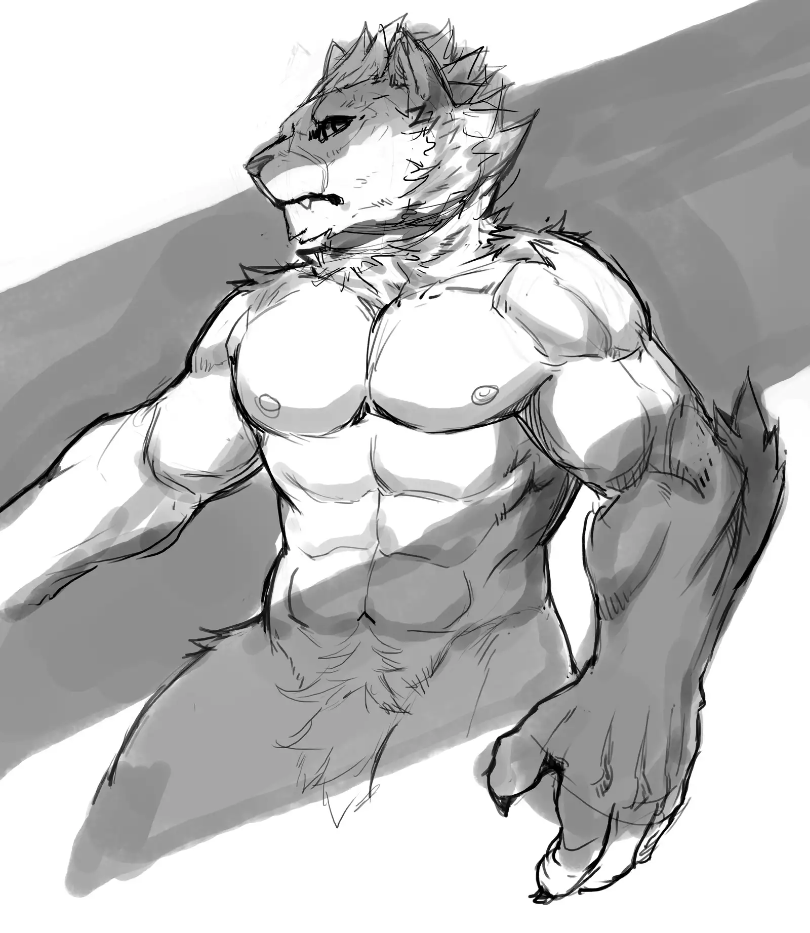 Nekojishi February 2018 Package Reward + Extras