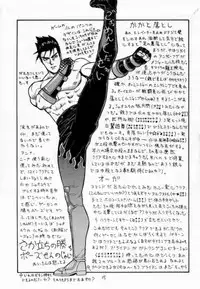 (C52) [From Japan (Various)] FIGHTERS GIGAMIX FGM Vol.2 (Various)