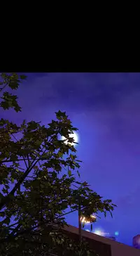 [Mojo] My Wives Ch.1-44 (English)