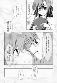(C72) [Zanryuu Shinen (Nagami Yuu)] SisterS (Mahou Shoujo Lyrical Nanoha)