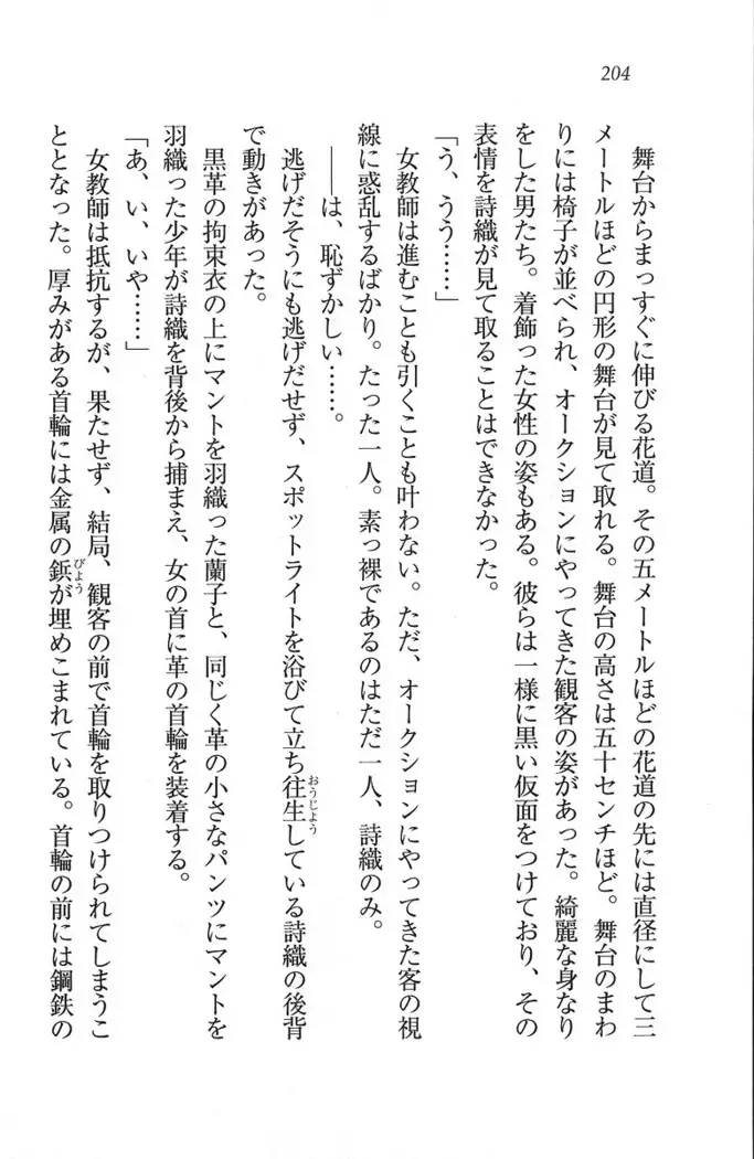 解放区～痴漢ハーレム