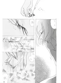 [MELT-DOWN (Tukumo Keiichi)] Wiege II (Saint Tail, Tobe Isami, Rayearth, Evangelion)