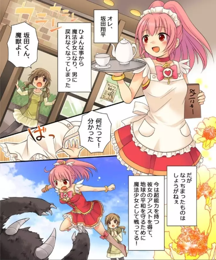 Okashi Assorted Packs - Unscented Taste