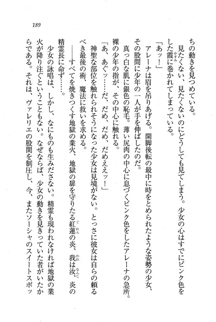 Circus～聖杯の魔法使い