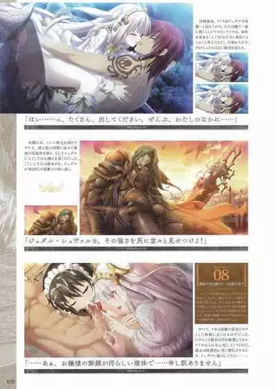 Fuukan no Grasesta Perfect Guidebook