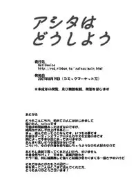 (C72) [HellDevice (nalvas)] Ashita wa Dou Shiyou (Odin Sphere)