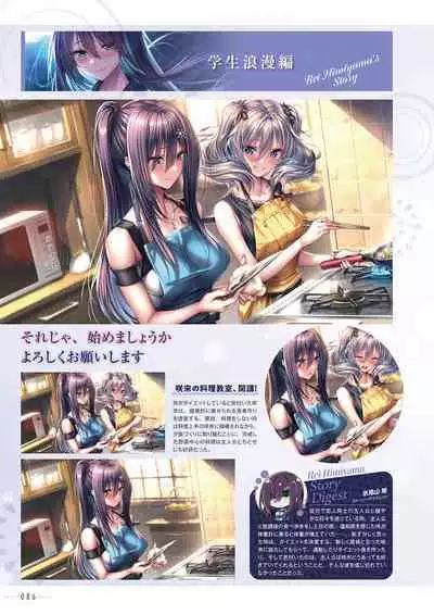 Amakano 2+ Visual Fan Book