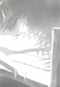 (MakiMaki 7) [Charm (Toshi Hiroshi)] SANCTUARY (Rosen Maiden)