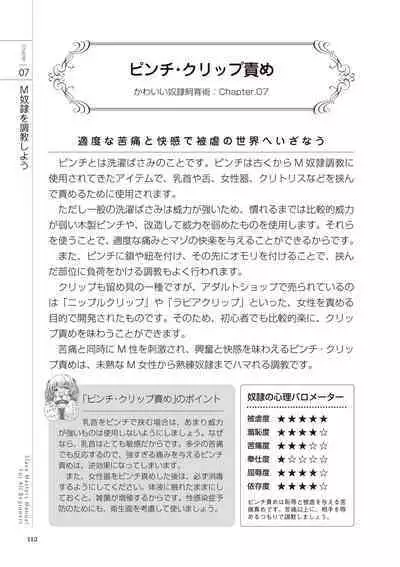 Zero kara Hajimeru SM Manual Kawaii Dorei Shiikujutsu