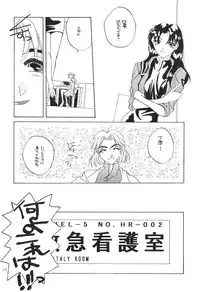 (CR19) [Digital Lover (Takanami Sachiko)] DESIR SEXUEL (Neon Genesis Evangelion)