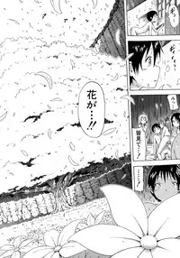 [Akatsuki Myuuto] Natsumitsu x Harem!